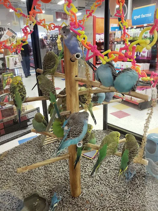 Petco 10