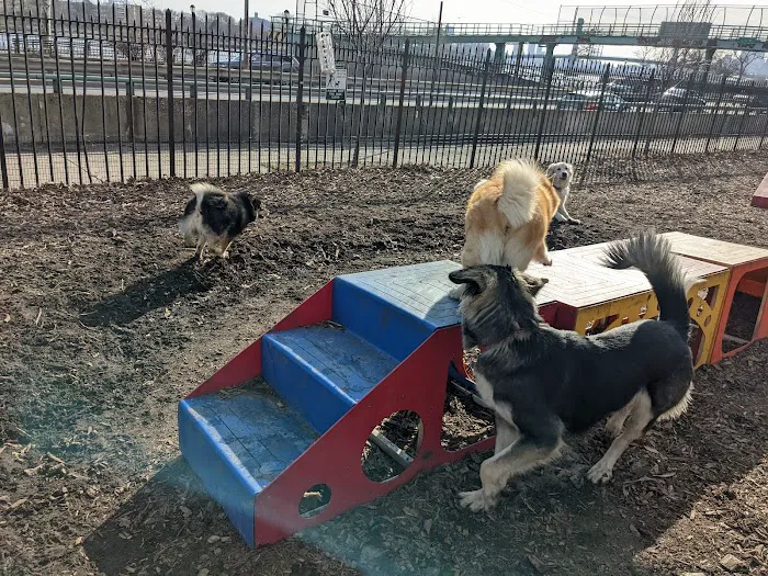 Tom's Dog Run 7