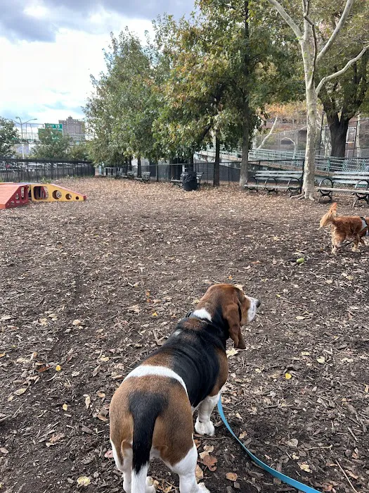 Tom's Dog Run 8
