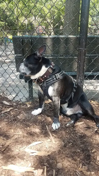 Marcus Garvey Dog Run 4