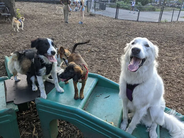 Marcus Garvey Dog Run 8