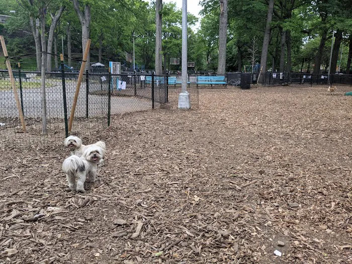 Marcus Garvey Dog Run 5