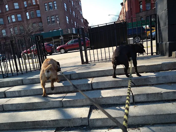 Marcus Garvey Dog Run 7