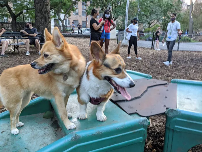 Marcus Garvey Dog Run 10