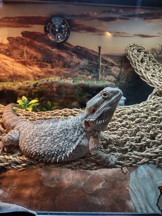 Petco 2
