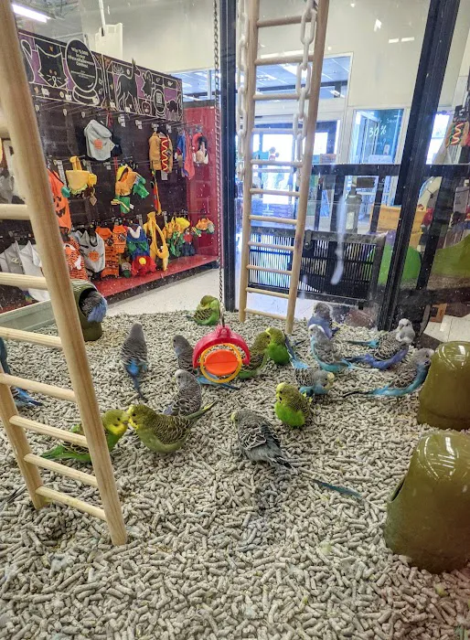Petco 5