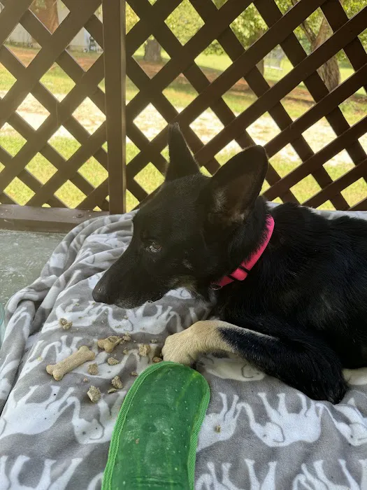 Petco 1