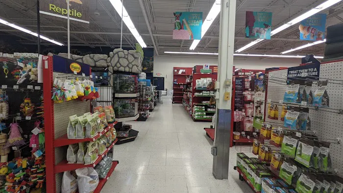 Petco 10