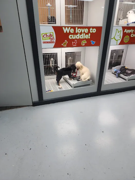 Petland Memphis 2