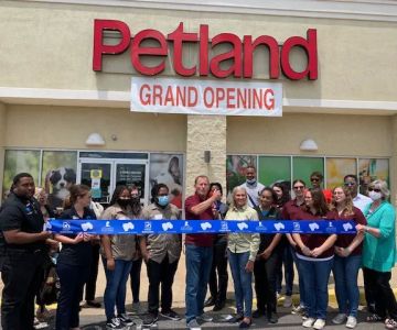 Petland Memphis