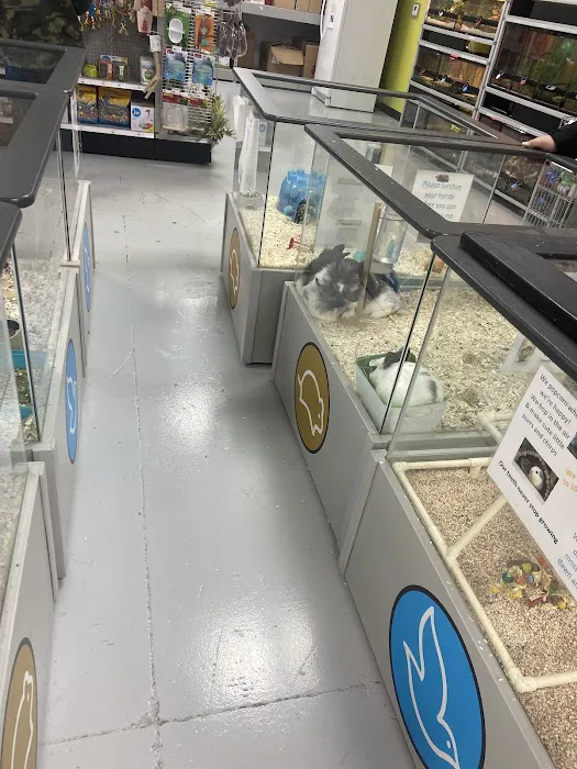 Petland Memphis 6