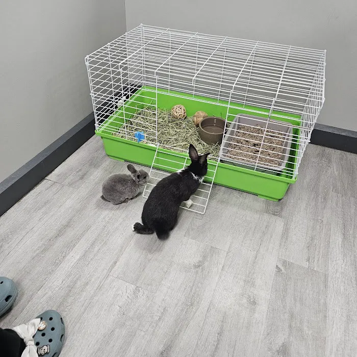 Petland Memphis 10