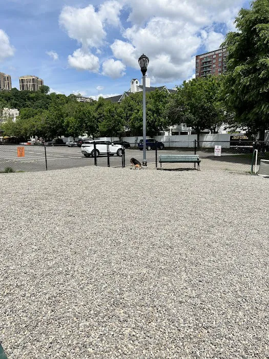 Edgewater Dog Park 5