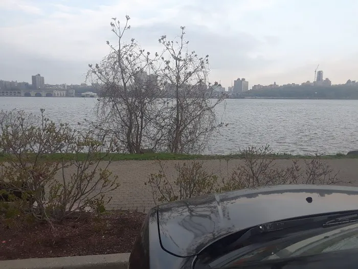 Edgewater Dog Park 10