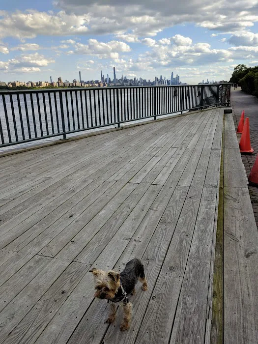 Edgewater Dog Park 4