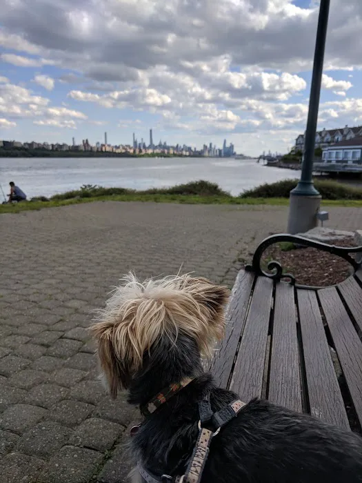 Edgewater Dog Park 2