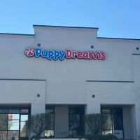 Puppy Dreams - Memphis ico