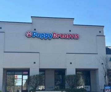 Puppy Dreams - Memphis