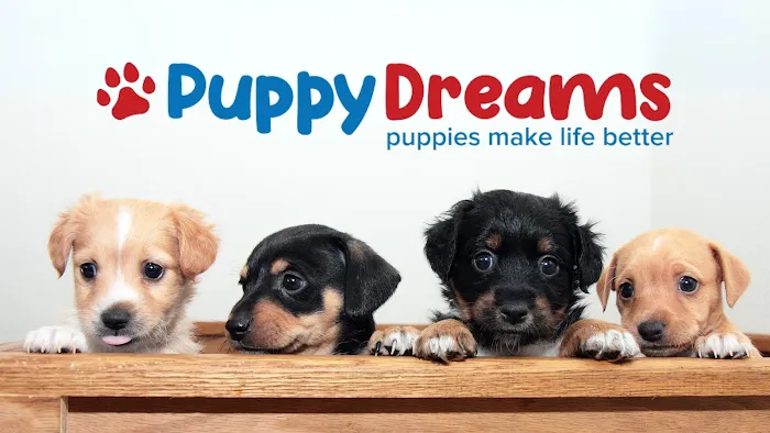 Puppy Dreams - Memphis 5