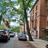 St. Nicholas Park Dog Run ico