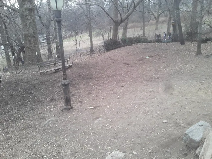 St. Nicholas Park Dog Run 6