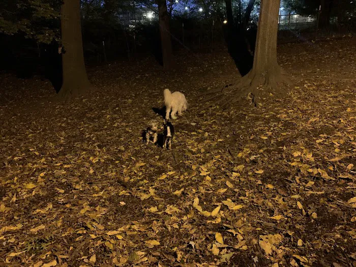 St. Nicholas Park Dog Run 9