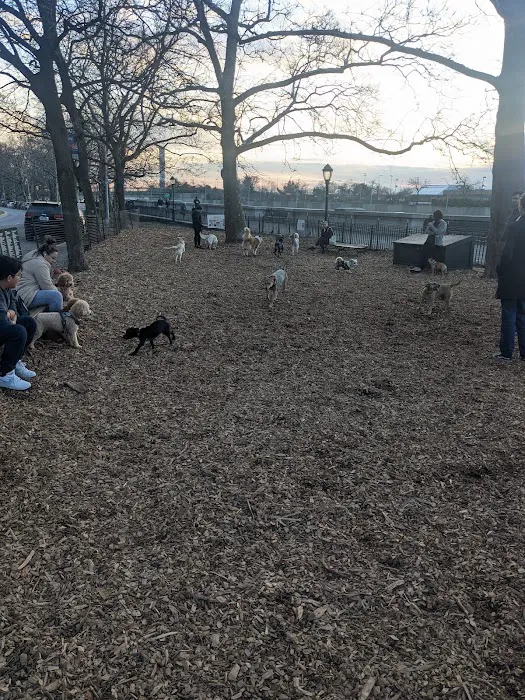 142nd Street Dog Run 1