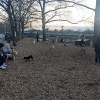 142nd Street Dog Run ico
