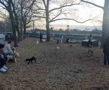 142nd Street Dog Run