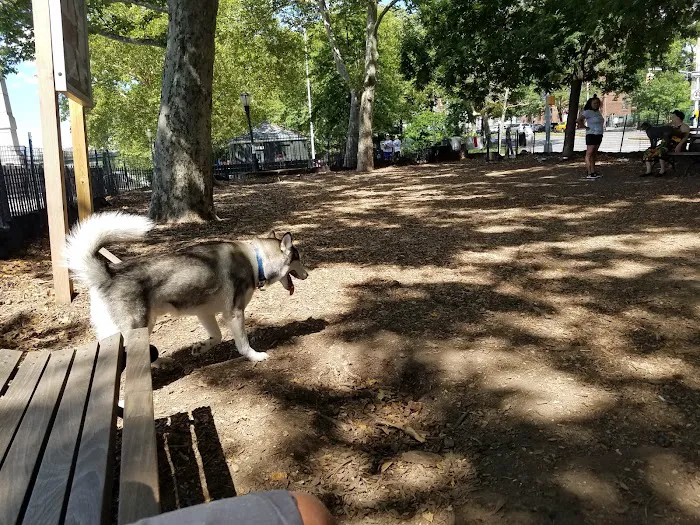 142nd Street Dog Run 3