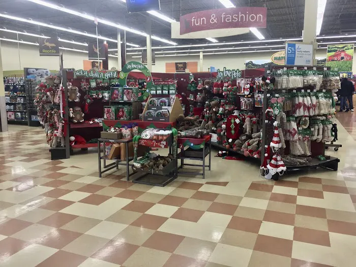Petco 1