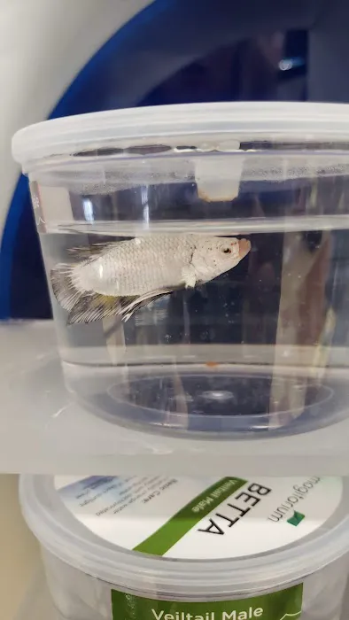 Petco 3