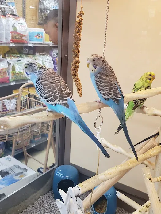 Petco 8