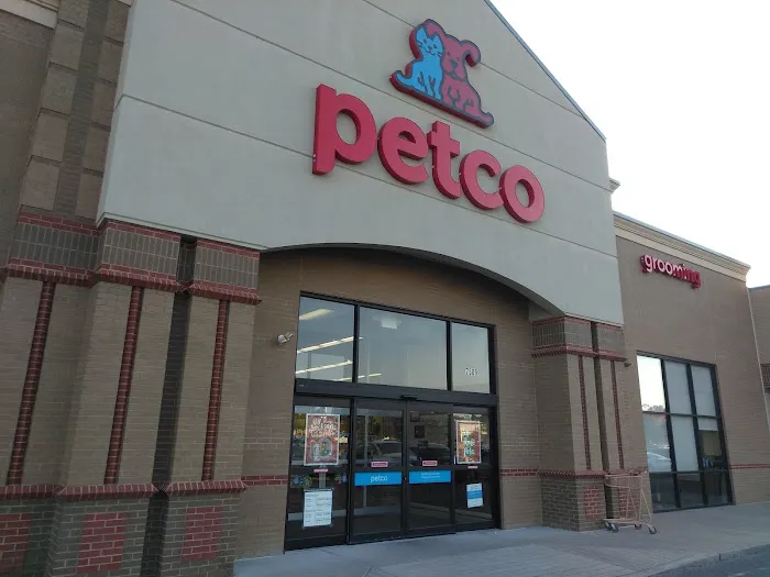 Petco 2