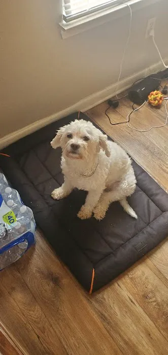 Petco 5