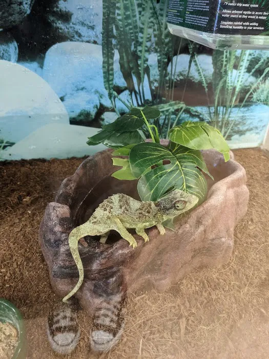 Petco 9