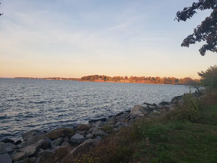 Little Bay Dog Run 1