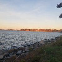 Little Bay Dog Run ico