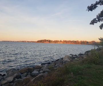 Little Bay Dog Run