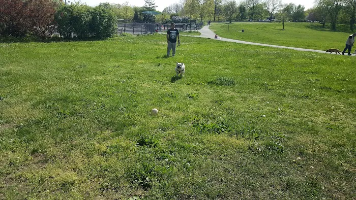 Little Bay Dog Run 2