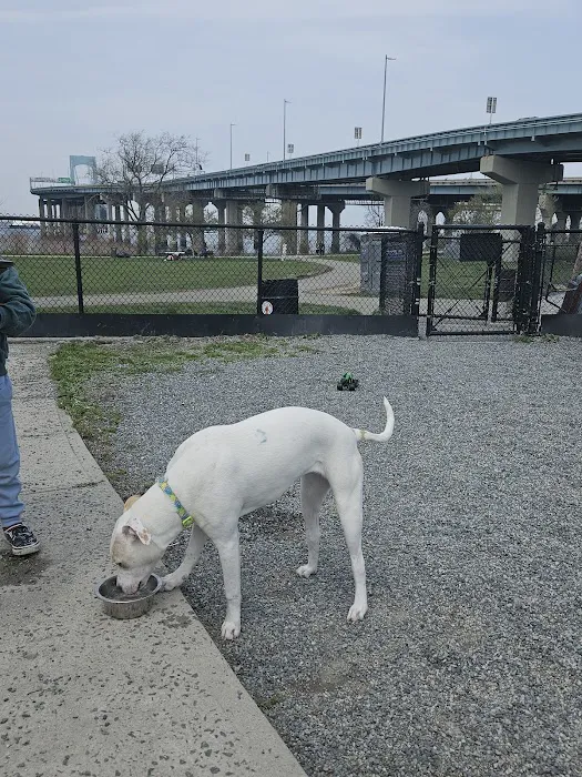 Little Bay Dog Run 8