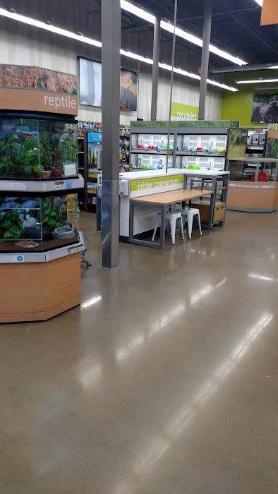 Petco 2