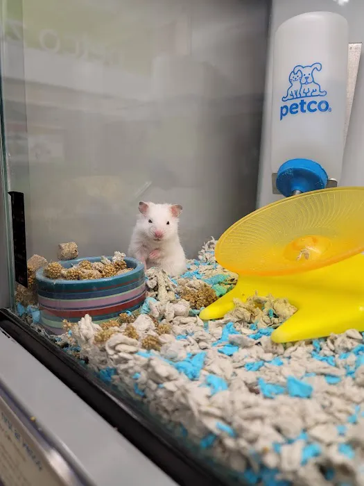 Petco 3