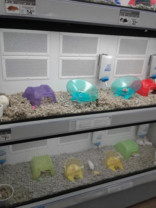 Petco 9