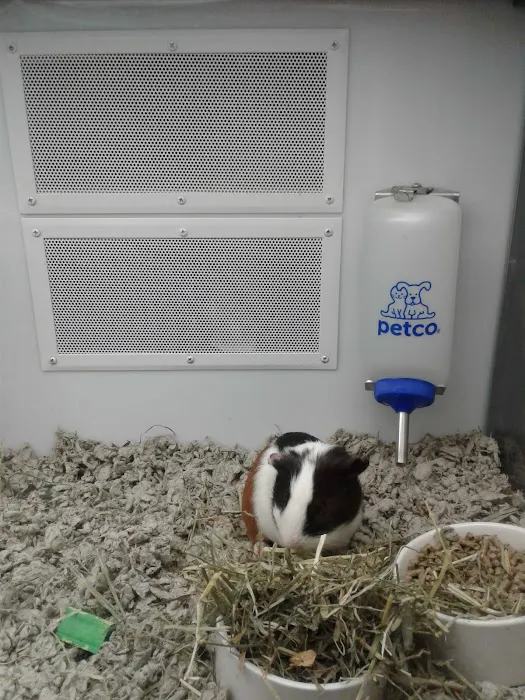 Petco 6