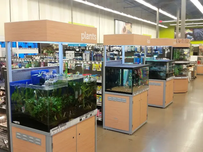 Petco 4