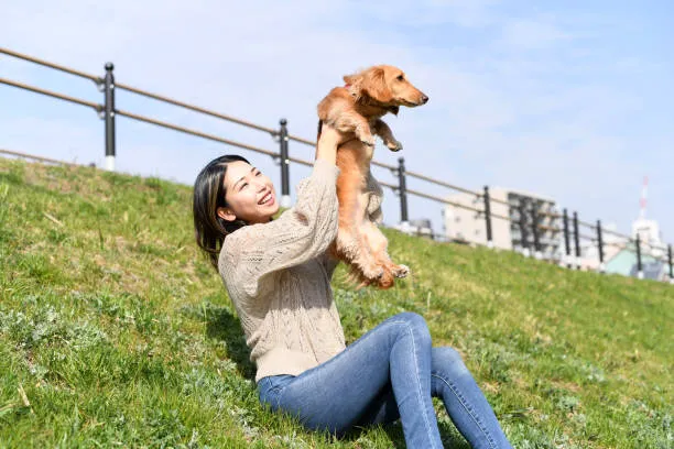 Throgs Neck Dog Park 10