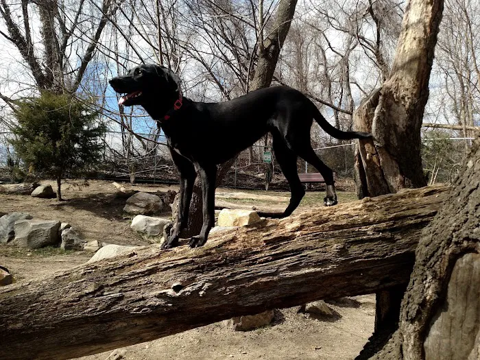 Glen Oaks Village Enchanted Forest Dog Park - Private 5