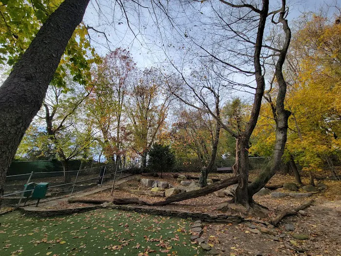 Glen Oaks Village Enchanted Forest Dog Park - Private 4