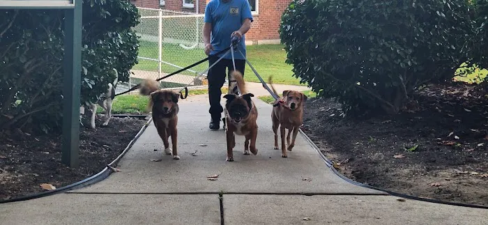 Glen Oaks Village Enchanted Forest Dog Park - Private 2